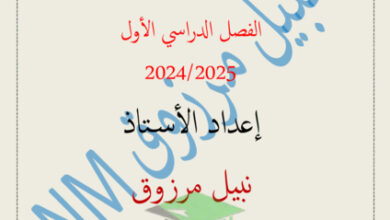 thumbnail of مذكرة فيزياء الصف العاشر الفصل الأول # أ. نبيل مرزوق
