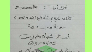 thumbnail of مذكرة كلمات المنهج فرنسي ثاني عشر أدبي فصل أول # أ. شعبان