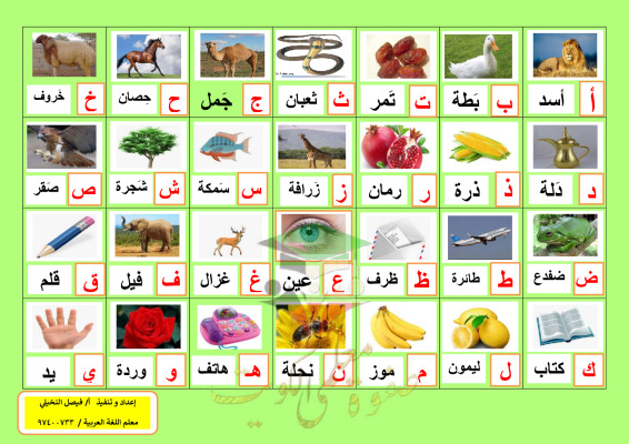 thumbnail of تأسيس الحروف كاملة عربي للصف الأول ابتدائي