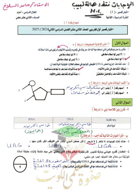 thumbnail of إجابة نماذج قصير (1) أحياء للصف الثاني عشر علمي الفصل الثاني # أ. حامد السلاخ