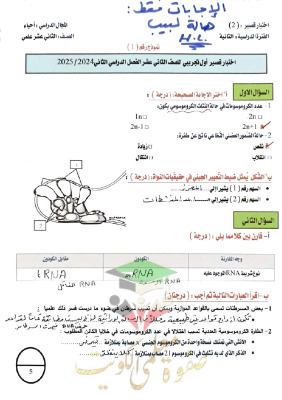 thumbnail of إجابة نماذج قصير (2) أحياء للصف الثاني عشر علمي الفصل الثاني # أ. حامد السلاخ