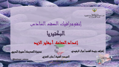 thumbnail of انفوجرافيك البكتيريا علوم للصف السادس الفصل الثاني # مدرسة الفردوس