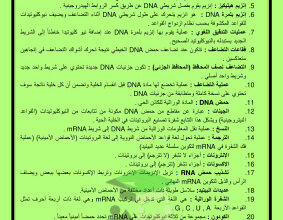 thumbnail of المراجعة النهائية أحياء للصف الثاني عشر علمي الفصل الثاني