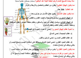 thumbnail of مذكرة أسد الأحياء للصف الحادي عشر علمي الفصل الثاني