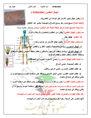 thumbnail of مذكرة أسد الأحياء للصف الحادي عشر علمي الفصل الثاني