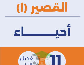 thumbnail of المنهج الجديد أحياء للصف الحادي عشر علمي الفصل الأول اختبار قصير (1)