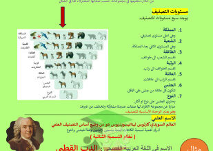 thumbnail of المنهج الجديد علوم للصف السابع الفصل الأول ملخص قصير (1)