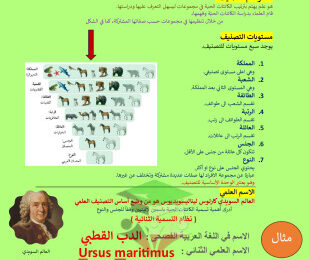 thumbnail of المنهج الجديد علوم للصف السابع الفصل الأول ملخص قصير (1)