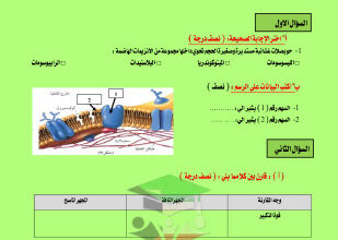 thumbnail of أحياء للصف العاشر الفصل الأول اختبار تجريبي قصير