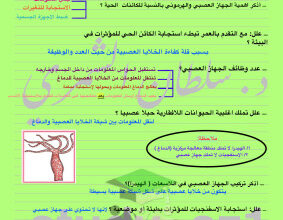 thumbnail of احياء للصف الثاني عشر علمي الفصل الأول ملخص درس الاحساس و الضبط