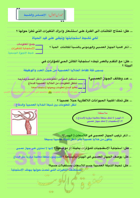 thumbnail of احياء للصف الثاني عشر علمي الفصل الأول ملخص درس الاحساس و الضبط