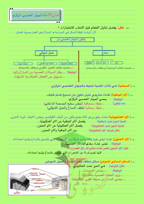 thumbnail of احياء للصف الثاني عشر علمي الفصل الأول ملخص درس الجهاز العصبي المركزي