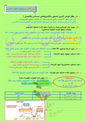 thumbnail of احياء للصف الثاني عشر علمي الفصل الأول ملخص درس فسيولوجيا الجهاز العصبي