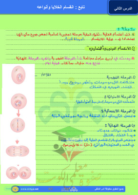 thumbnail of المنهج الجديد علوم للصف التاسع الفصل الأول ملخص انقسام الخلايا