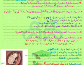 thumbnail of المنهج الجديد علوم للصف التاسع الفصل الأول ملخص درس الأخصاب والحمل و الولادة