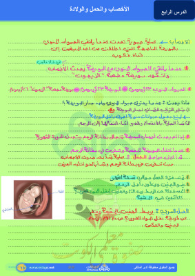 thumbnail of المنهج الجديد علوم للصف التاسع الفصل الأول ملخص درس الأخصاب والحمل و الولادة