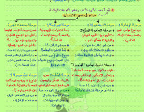 thumbnail of المنهج الجديد علوم للصف التاسع الفصل الأول ملخص مراحل حياة الإنسان