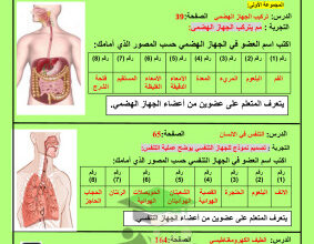 thumbnail of المنهج الجديد علوم للصف الثامن الفصل الأول نموذج تدريب عملي