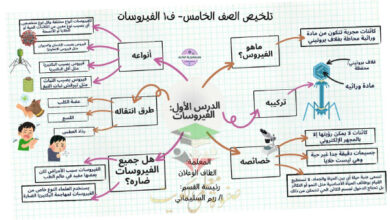 thumbnail of المنهج الجديد علوم للصف الخامس الإبتدائي الفصل الأول الملخص المفيد في تسع ورقات