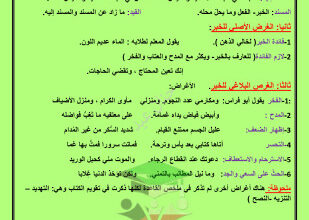 thumbnail of ملخص البلاغة في ورقتين ليلة الأمتحان عربي للصف الثاني عشر الفصل الأول