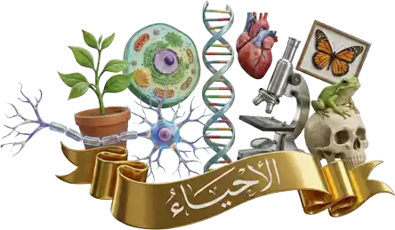 مدرسة أحياء في الكويت