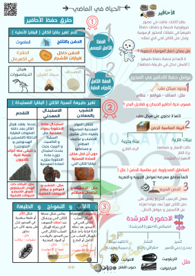 thumbnail of ملخص الحياة في الماضي جيولوجيا للصف الحادي عشر علمي الفصل الثاني